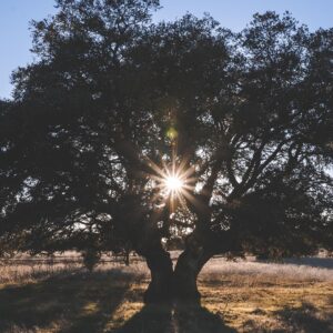 Hipnoza - strah pred javnim nastopanjem (glossophobia)