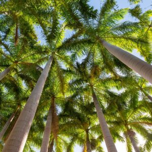 Hipnoza za prenehanje kajenja